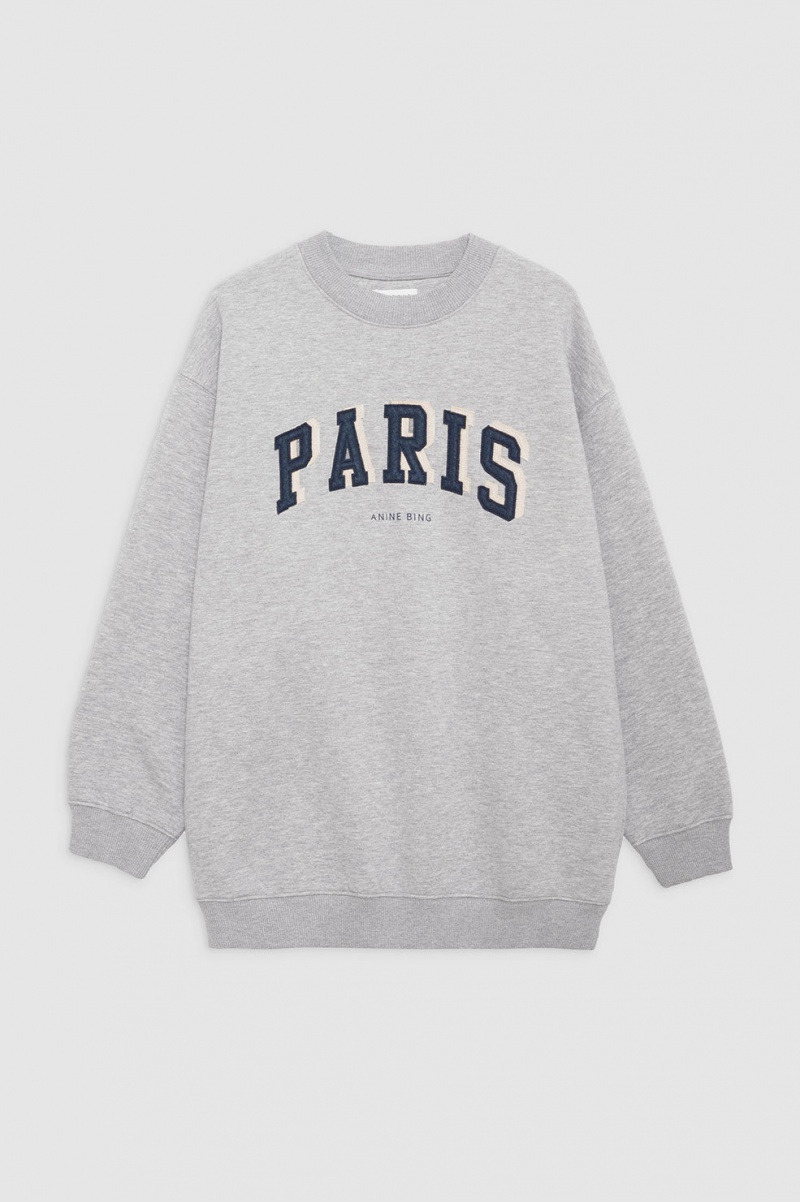 Sweat Anine Bing Tyler Paris Grise Femme | AVV-1189377